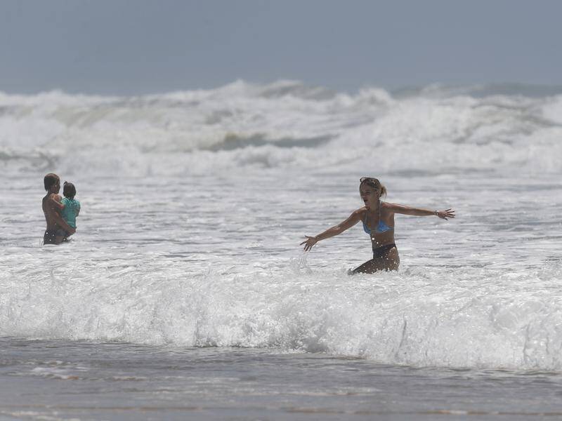 Researchers found 47 per cent of people who drowned at the beach since 2004, were born overseas.