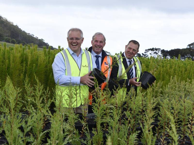 Scott Morrison has announced the creation of nine forestry hubs during a visit to northern Tasmania.