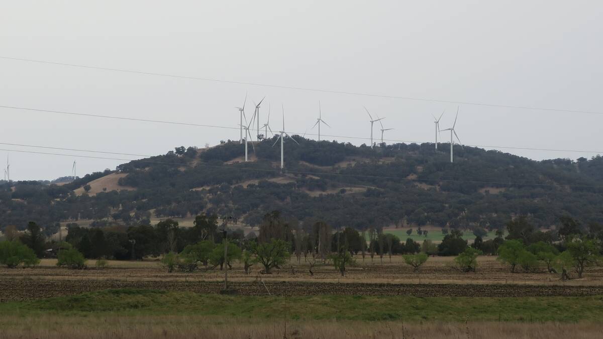 White Rock Wind Farm open day