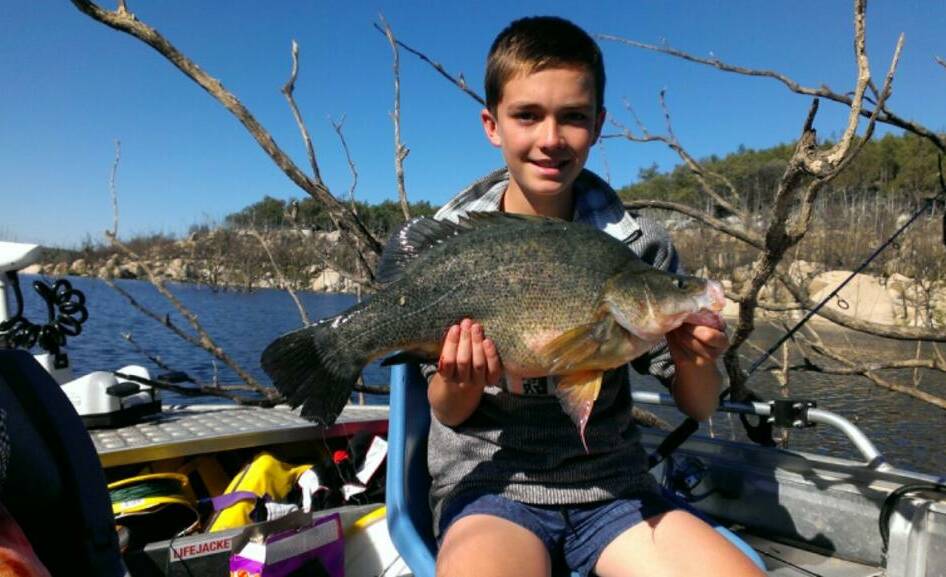 GOOD CATCH: Angus Lindsay with his 57 centimetre yellow belly.