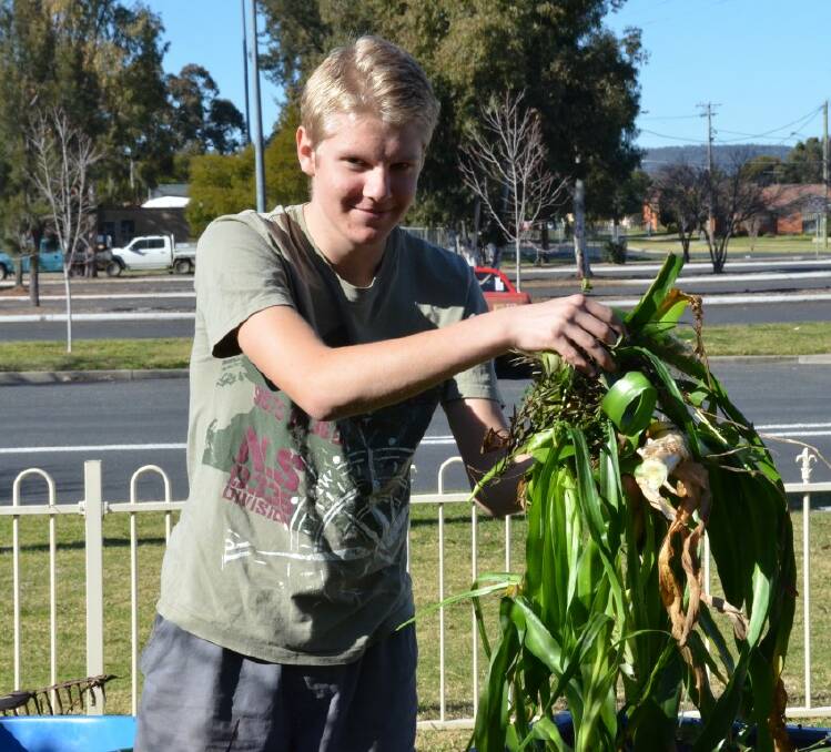 TIDY UP: Matt Hill gives the Legacy gardens a good clean out for the winter ahead.