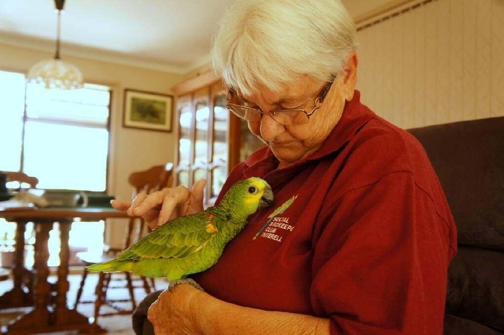 Beryle Woodham with her eight-week-old Blue-fronted Amazon Parrot Crustie.