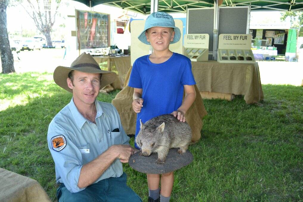 Justin Kreis From National Parks show a baby wombat to Rhyce Sydenham.